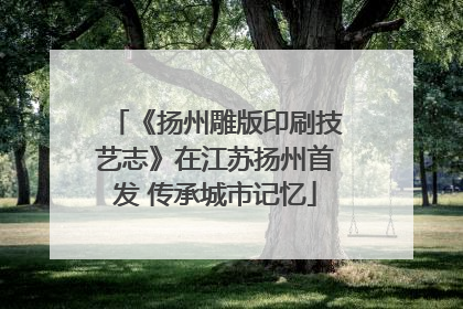 《扬州雕版印刷技艺志》在江苏扬州首发 传承城市记忆