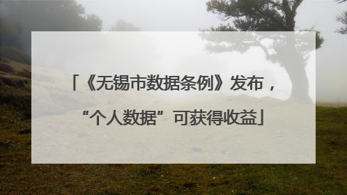 《无锡市数据条例》发布，“个人数据”可获得收益