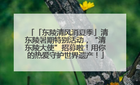「东陵清风消夏季」清东陵暑期特别活动，“清东陵大使”招募啦！用你的热爱守护世界遗产！