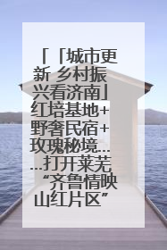 「城市更新 乡村振兴看济南」红培基地+野奢民宿+玫瑰秘境……打开莱芜“齐鲁情映山红片区”的破圈秘籍