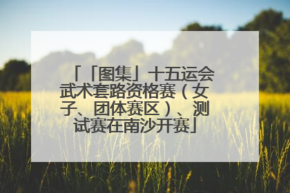 「图集」十五运会武术套路资格赛（女子、团体赛区）、测试赛在南沙开赛