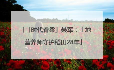 「时代脊梁」聂军：土地营养师守护稻田28年