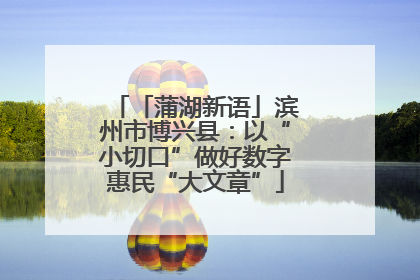 「蒲湖新语」滨州市博兴县：以“小切口”做好数字惠民“大文章”