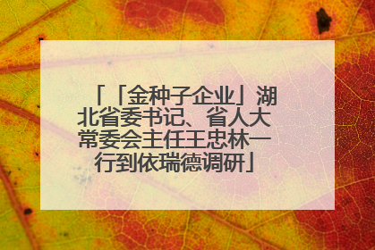 「金种子企业」湖北省委书记、省人大常委会主任王忠林一行到依瑞德调研