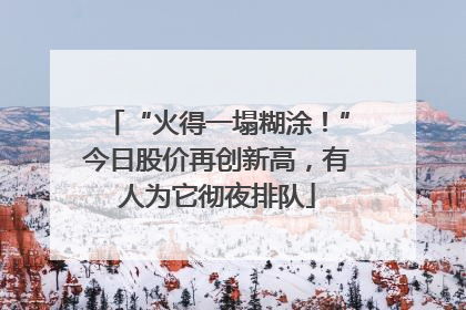 “火得一塌糊涂！”今日股价再创新高，有人为它彻夜排队