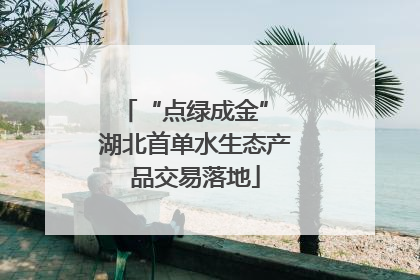 “点绿成金” 湖北首单水生态产品交易落地