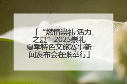 “燃情崇礼 活力之夏”2025崇礼夏季特色文旅赛事新闻发布会在张举行