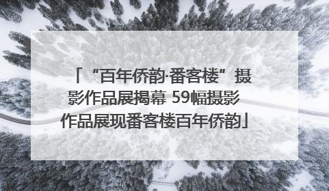 “百年侨韵·番客楼”摄影作品展揭幕 59幅摄影作品展现番客楼百年侨韵