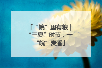 “皖”里有粮｜“三夏”时节，一“皖”麦香