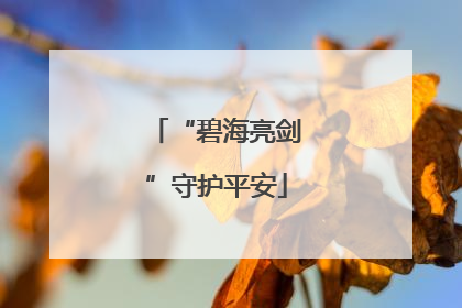 “碧海亮剑”守护平安