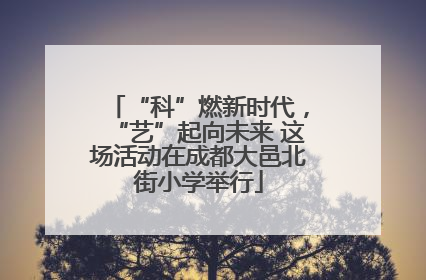 “科”燃新时代，“艺”起向未来 这场活动在成都大邑北街小学举行