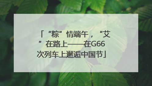 “粽”情端午，“艾”在路上——在G66次列车上邂逅中国节