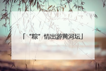 “粽”情出游黄河坛