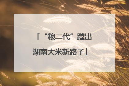 “粮二代”蹚出湖南大米新路子