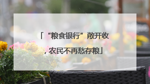 “粮食银行”敞开收，农民不再愁存粮
