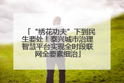 “绣花功夫”下到民生要处！泰兴城市治理智慧平台实现全时段联网全要素细治