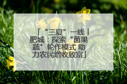 “三夏”一线丨肥城：探索“菌果蔬”轮作模式 助力农民增收致富
