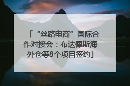 “丝路电商”国际合作对接会：布达佩斯海外仓等8个项目签约
