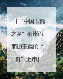 “中国玉藕之乡”柳州百朋镇玉藕抢“鲜”上市
