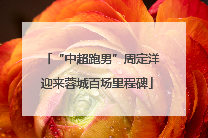 “中超跑男”周定洋迎来蓉城百场里程碑