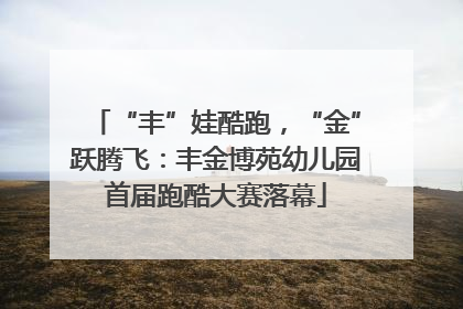 “丰”娃酷跑，“金”跃腾飞：丰金博苑幼儿园首届跑酷大赛落幕