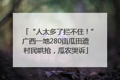 “人太多了拦不住！”广西一地280亩瓜田遭村民哄抢，瓜农哭诉