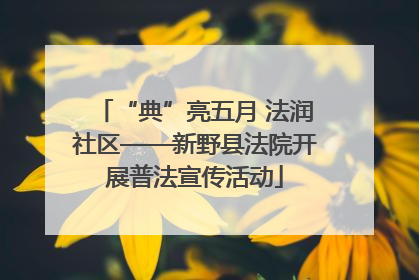 “典”亮五月 法润社区——新野县法院开展普法宣传活动