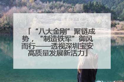 “八大金刚”聚链成势，“制造铁军”御风而行——透视深圳宝安高质量发展新活力