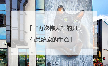“再次伟大”的只有总统家的生意