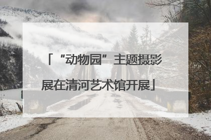 “动物园”主题摄影展在清河艺术馆开展