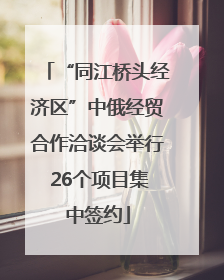 “同江桥头经济区”中俄经贸合作洽谈会举行 26个项目集中签约