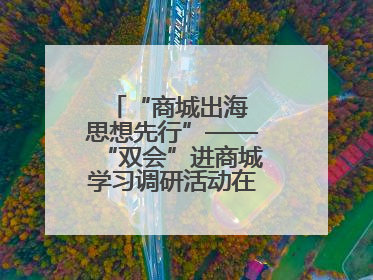 “商城出海 思想先行”——“双会”进商城学习调研活动在临沂顺利开展