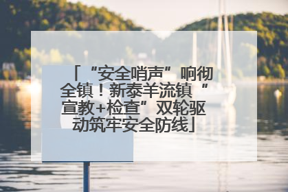 “安全哨声”响彻全镇！新泰羊流镇“宣教+检查”双轮驱动筑牢安全防线
