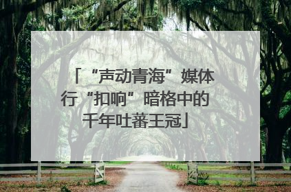 “声动青海”媒体行“扣响”暗格中的千年吐蕃王冠