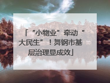 “小物业”牵动“大民生”！舞钢市基层治理显成效
