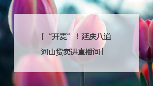 “开麦”！延庆八道河山货卖进直播间