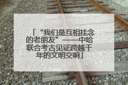 “我们是互相挂念的老朋友”——中哈联合考古见证跨越千年的文明交响