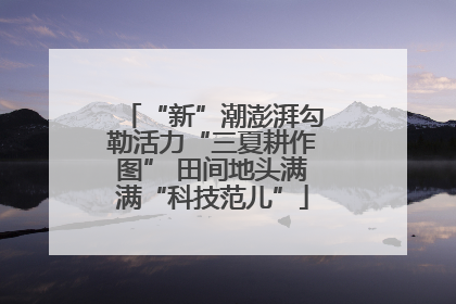 “新”潮澎湃勾勒活力“三夏耕作图” 田间地头满满“科技范儿”