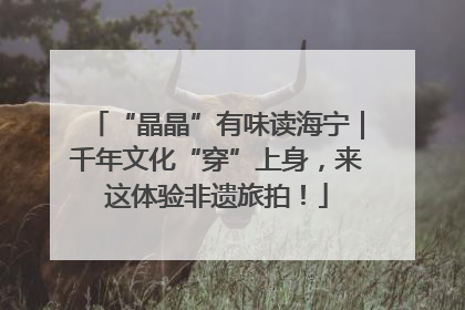 “晶晶”有味读海宁｜千年文化“穿”上身，来这体验非遗旅拍！