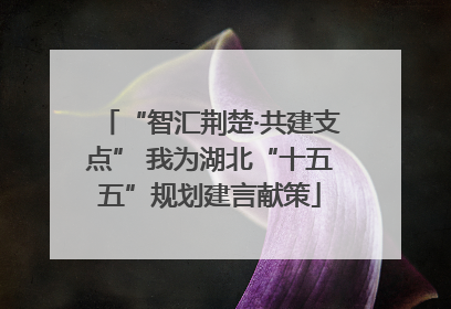 “智汇荆楚·共建支点” 我为湖北“十五五”规划建言献策