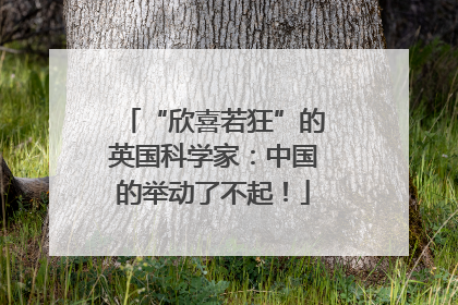 “欣喜若狂”的英国科学家：中国的举动了不起！