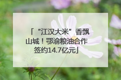 “江汉大米”香飘山城！鄂渝粮油合作签约14.7亿元