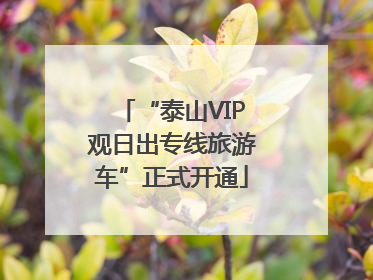 “泰山VIP观日出专线旅游车”正式开通