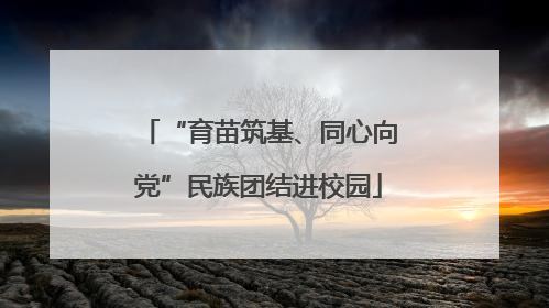 “育苗筑基、同心向党”民族团结进校园