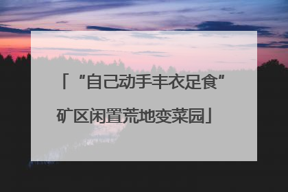 “自己动手丰衣足食”矿区闲置荒地变菜园