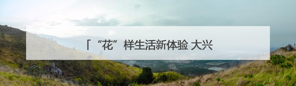 “花”样生活新体验 大兴区让市花月季走进日常生活