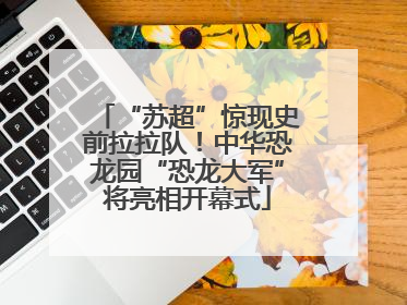 “苏超”惊现史前拉拉队！中华恐龙园“恐龙大军”将亮相开幕式