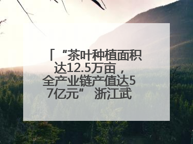 “茶叶种植面积达12.5万亩，全产业链产值达57亿元” 浙江武义茶产业全链发展“加速度”