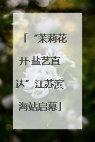 “茉莉花开·盐艺直达”江苏滨海站启幕