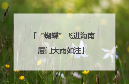 “蝴蝶”飞进海南 厦门大雨如注